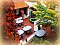 Pensjonat Venuse noclegi Morawski Budziejowice - Pensionhotel - Pensjonaty