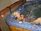 Hotel noclegi Trebic - Pensionhotel - Hotele
